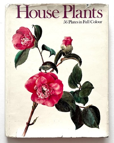House plants oplt - plants,