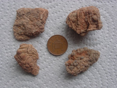 Four chalcedony var beekite - four,