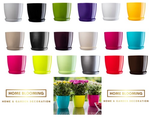Plant flower pot plastic - flower,