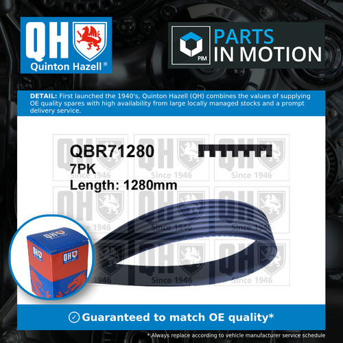 Rib multi drive belt - v, fits