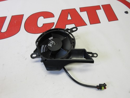 Ducati right hand - ,