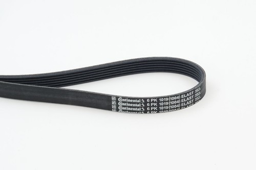 Continental ctam 6pk1019 elast - ctam,