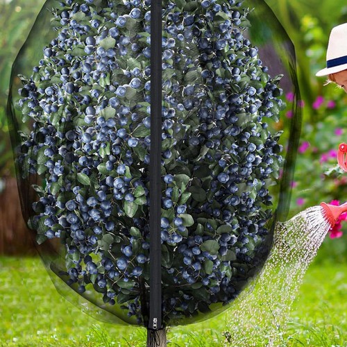 4pack fruit tree - 2-4pack,