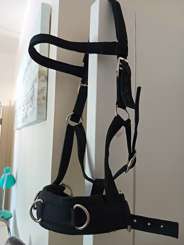 Black lunge cavesson full - cavesson,