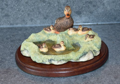 Border fine arts mallard - arts, duck