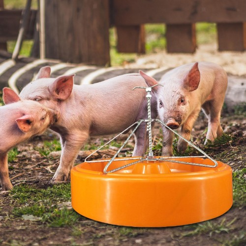 Pig trough waterer fodder - trough,