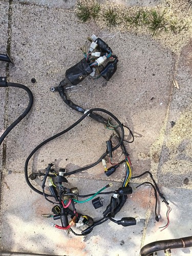 Main wiring loom harness - main,