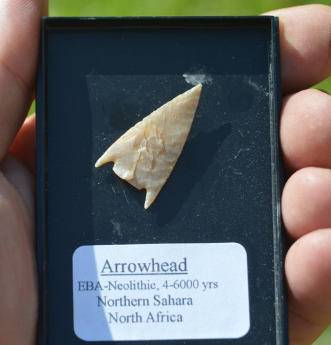 Amazing prehistoric - amazing,