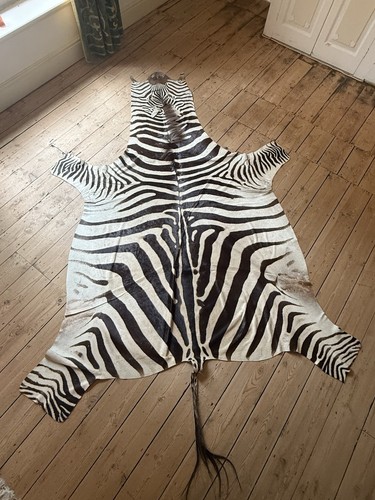 Very large zebra skin - very, real