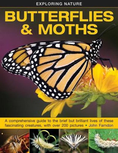 Butterflies and moths a - butterflies,