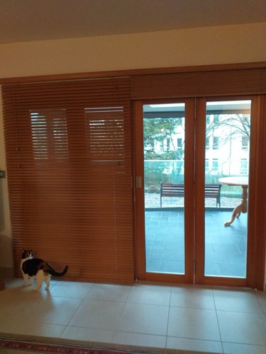 Venetian blinds 135cm - blinds, x