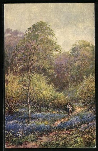 Artist postcard raphael - raphael, &