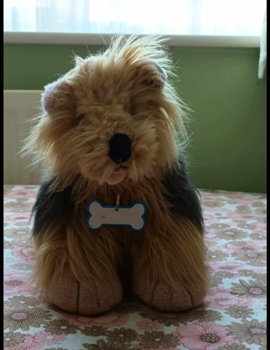 Build bear workshop plush - workshop,