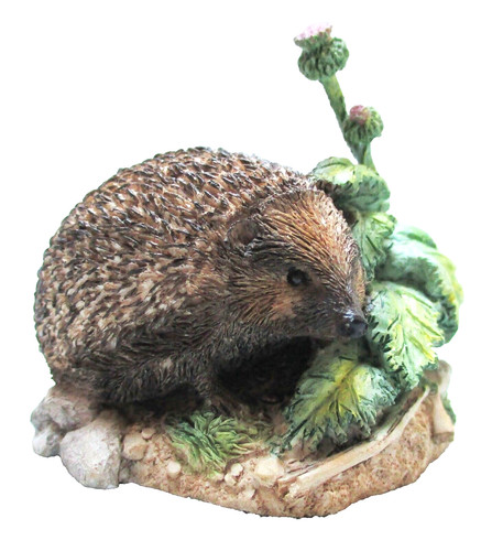 Border fine arts prickly - border,