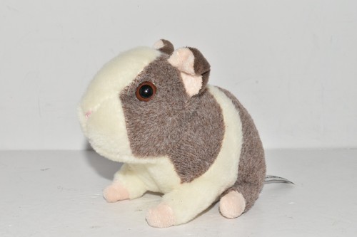 Chatsworth squeaking guinea - squeaking,