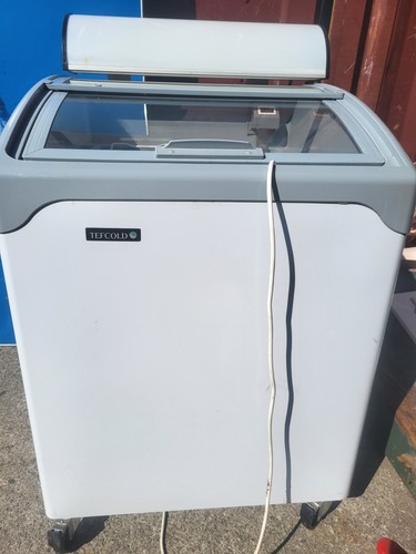 Tefcold ice cream - tefcold, freezer