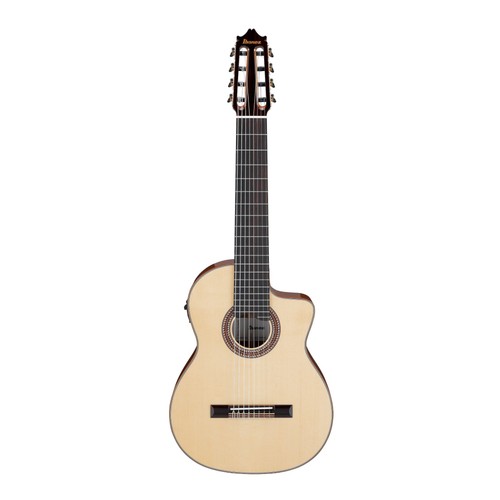 Ibanez ga3008ce acoustic - ibanez,