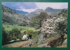 Vintage Postcard Unused The