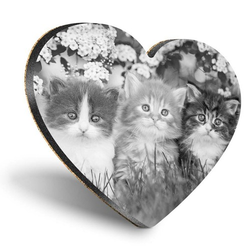 Heart mdf coasters - heart, bw