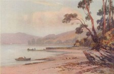 The Dart near Dittisham