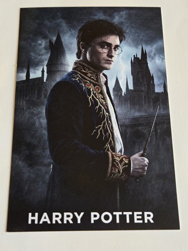 Set harry potter - harry,