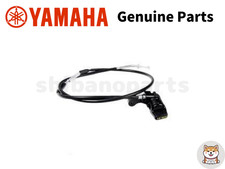 Yamaha RAPTOR 700 REVERSE