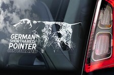 German Shorthaired Pointer