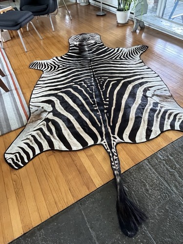 Antique authentic zebra skin - antique,