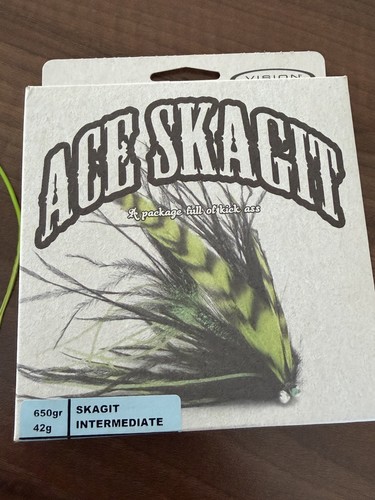 Vision ace skagit intermediate - skagit,