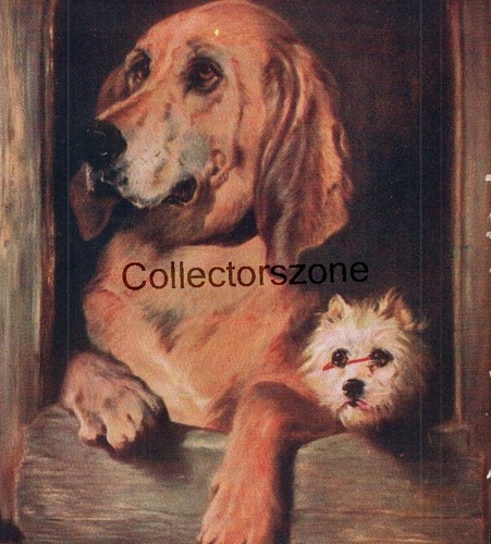 1908 dogs dignity impudence - 1908, &