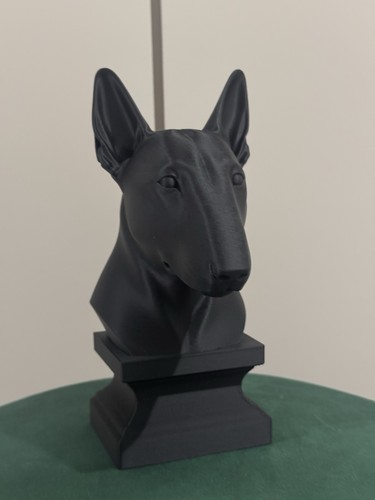 English bull terrier - bull, dog