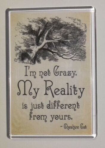 Fridge magnet m not - fridge, ⭐i'm