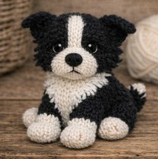 Border Collie Puppy Double