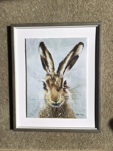 Laura ashley home hare print - ashley,