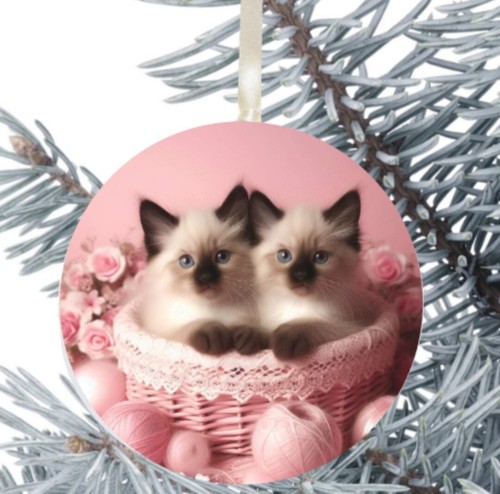 Ragdoll cat kitten hanging - ragdoll,