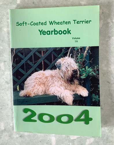 Soft coated wheaten terrier - soft-coated,