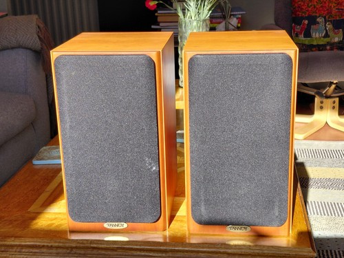Tannoy revolution speakers - tannoy,