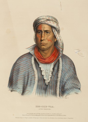 Kee she waa fox - fox, warrior
