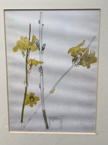 Charles rennie mackintosh fine - charles,