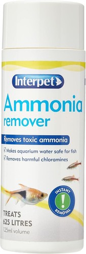 Interpet aquarium fish - fish, tank