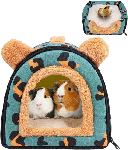 Pantula guinea pig - pantula,
