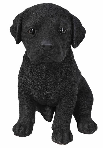 Vivid arts pet pals - vivid,