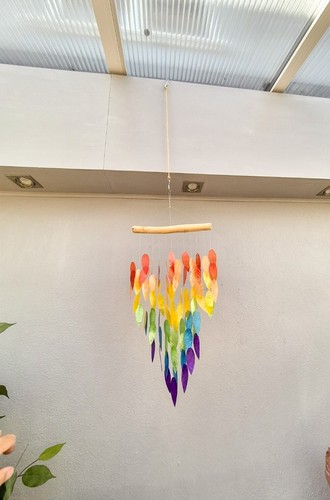 Rainbow shell multi colour - shell,