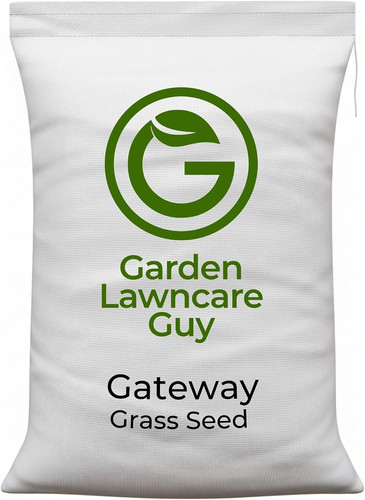 Horse paddock grass seeds - horse,