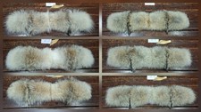 Coyote Fur Trim Replacement