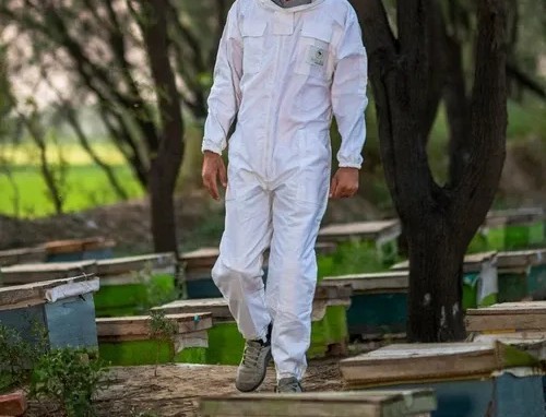 Beekeeper suit professional - beekeeper,