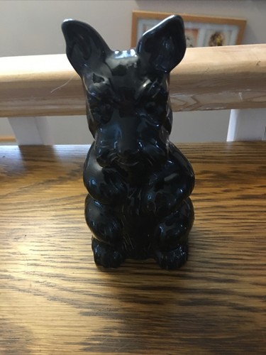 Wade scootie dog - , moneybox
