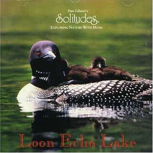 Loon echo lake hennie - echo,
