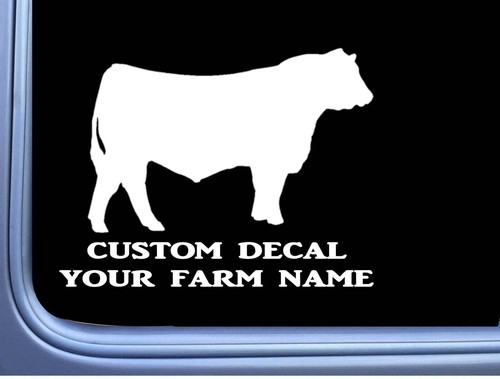 Custom bull decal sticker - custom,