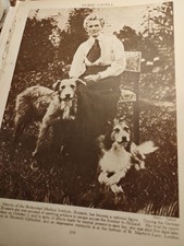 Sk263 Ephemera 1915 Picture